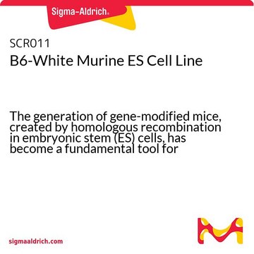 B6-White Murine ES Cell Line The generation of gene-modified mice, created by homologous recombination in embryonic stem (ES) cells, has become a fundamental tool for analyzing gene function.