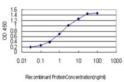Monoclonal Anti-IL23R antibody produced in mouse clone 3D7, purified immunoglobulin, buffered aqueous solution