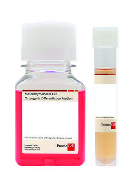 Mesenchymal Stem Cell Osteogenic Differentiation Medium Ready-to-use kit including Basal Medium and SupplementMix, 100 ml