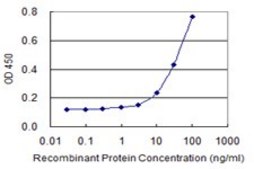 Monoclonal Anti-MUSK antibody produced in mouse clone 1F3, purified immunoglobulin, buffered aqueous solution