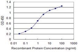Monoclonal Anti-RABGAP1, (N-terminal) antibody produced in mouse clone 3D11, purified immunoglobulin, buffered aqueous solution