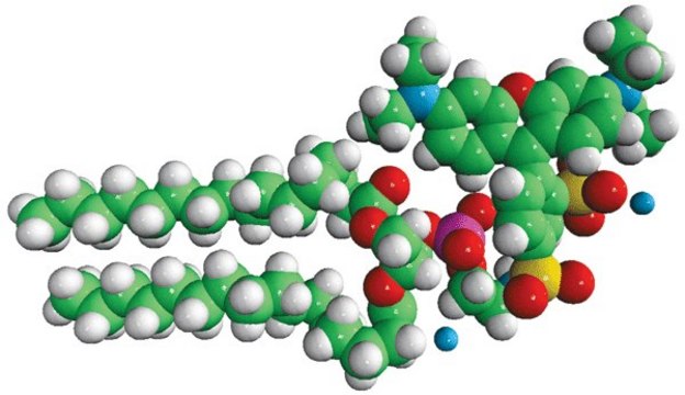 16:0 Liss Rhod PE Avanti Polar Lipids