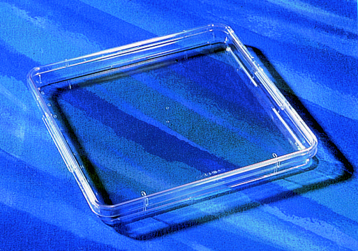 Corning&#174; square bioassay dishes without handles, TC treated, square