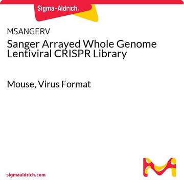 桑格全基因组 慢病毒 CRISPR 文库 Mouse, Virus Format