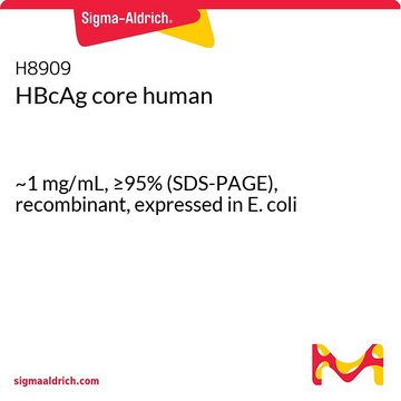 HBcAg core human ~1&#160;mg/mL, &#8805;95% (SDS-PAGE), recombinant, expressed in E. coli