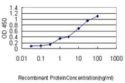 Monoclonal Anti-GCG antibody produced in mouse clone 1E2-E6, purified immunoglobulin, buffered aqueous solution