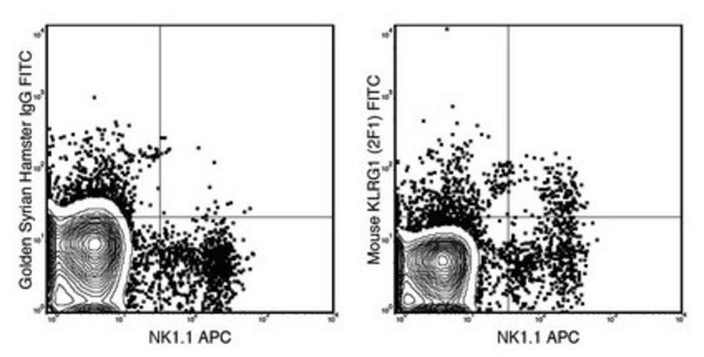 Anti-KLRG1 Antibody (mouse), clone 2F1 clone 2F1, 0.5&#160;mg/mL, from hamster(Syrian)