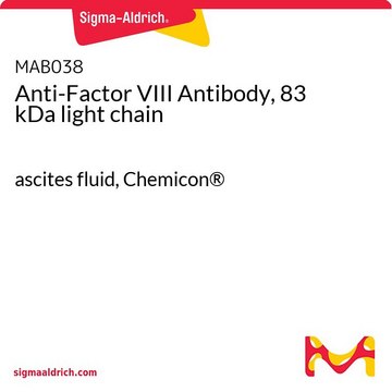 Anti-Factor VIII Antibody, 83 kDa light chain ascites fluid, Chemicon&#174;