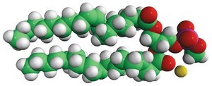 18:1 Phosphatidylmethanol 1,2-dioleoyl-sn-glycero-3-phosphomethanol (sodium salt), powder