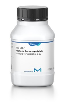 Peptone from vegetable suitable for microbiology