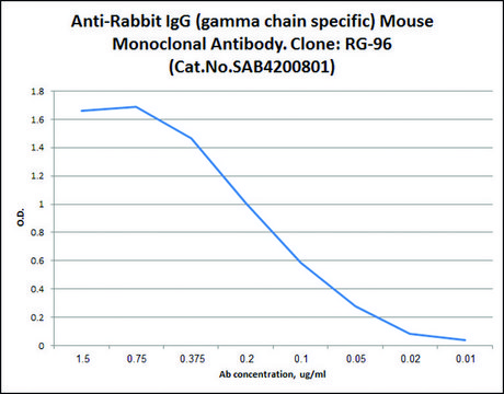 Anti-Rabbit IgG (&#947;-chain specific) antibody, Mouse monoclonal clone RG-96, purified from hybridoma cell culture