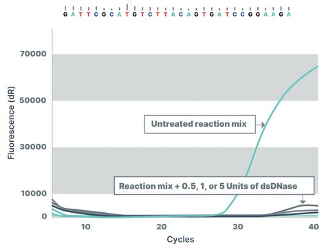 dsDNase recombinant, expressed in Pichia pastoris, heat-labile, Triton-free