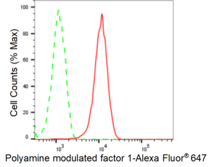KD-Validated Anti Polyamine Modulated Factor 1 Antibody, clone 24GB985, Rabbit Monoclonal clone 24GB985, recombinant rabbit monoclonal, expressed in HEK293 cells