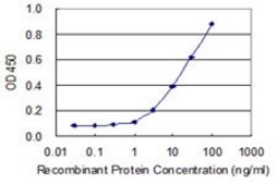 Monoclonal Anti-WDR41 antibody produced in mouse clone 1F3, purified immunoglobulin, buffered aqueous solution