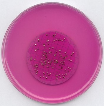 m-ENDO agar LES GranuCult&#174;, APHA, suitable for microbiology, for coliforms