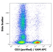 Monoclonal Anti-CD3, purified produced in mouse