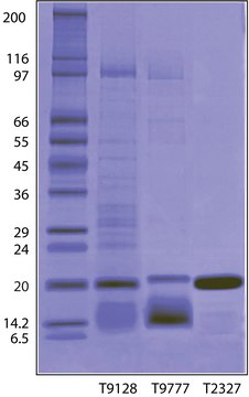 胰蛋白酶抑制剂 来源于大豆 BioUltra, lyophilized powder, &#8805;95% (Kunitz inhibitor, SDS-PAGE)