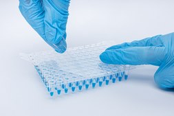 QuickSeal qPCR Crystal™ self adhesive sealing film LabSheet™, W × L 80 mm × 140 mm, pack of 100 sheets