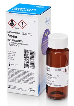 胃蛋白酶 lyophilized (salt-free), ~2500 units/mg protein (At 37 &#176;C with hemoglobin as the substrate. One unit is the enzyme activity which liberates the amount of Tyr producing an increase in the absorbance of 0.001/minute at 280 nm.)