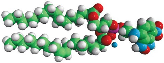 Egg NBD PE Avanti Polar Lipids 810118P, powder