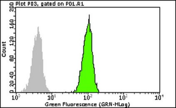 Milli-Mark Anti-BMP-7-FITC Antibody, clone 2A10 clone 2A10, Milli-Mark&#174;, from mouse