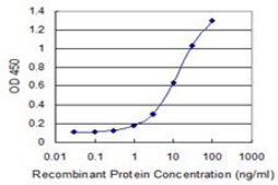 Monoclonal Anti-RBM6, (C-terminal) antibody produced in mouse clone 4B3, purified immunoglobulin, buffered aqueous solution