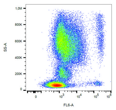 Monoclonal Anti-CD193 antibody produced in mouse clone 5E8