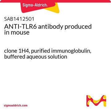 ANTI-TLR6 antibody produced in mouse clone 1H4, purified immunoglobulin, buffered aqueous solution