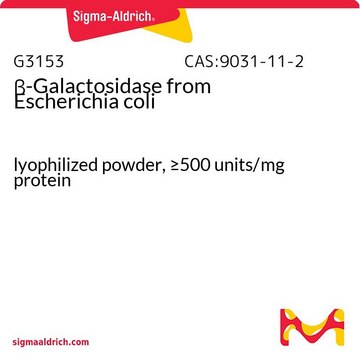 &#946; 半乳糖苷酶 来源于大肠杆菌 lyophilized powder, &#8805;500&#160;units/mg protein