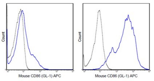 Anti-CD86 (B7-2) Antibody (mouse), APC, clone GL-1 clone GL-1 (GL1), 0.2&#160;mg/mL, from rat