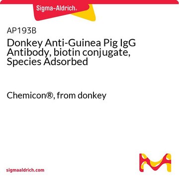 Donkey Anti-Guinea Pig IgG Antibody, biotin conjugate, Species Adsorbed Chemicon&#174;, from donkey