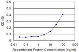 ANTI-GUCY2C antibody produced in mouse clone 1G5, purified immunoglobulin, buffered aqueous solution