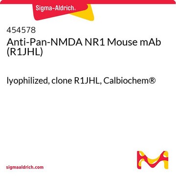 Anti-Pan-NMDA NR1 Mouse mAb (R1JHL) lyophilized, clone R1JHL, Calbiochem&#174;