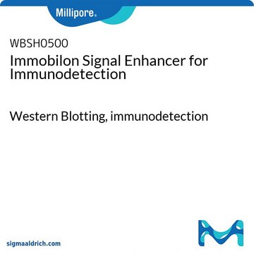 用于免疫检测的Immobilon信号增强剂 Western Blotting, immunodetection