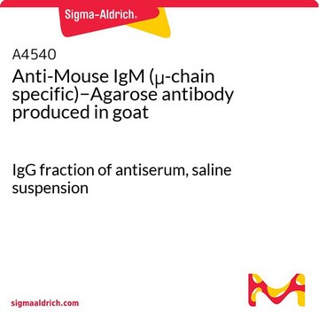 抗-小鼠IgM（-链特异性）&#8722;琼脂糖 山羊抗 IgG fraction of antiserum, saline suspension