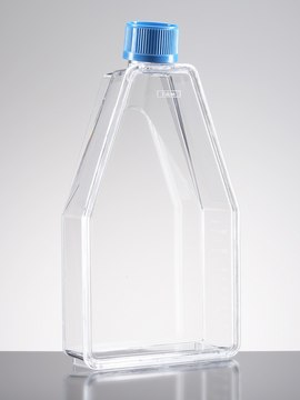 Corning® BioCoat™ Poly-D-Lysine Cell Culture Flask capacity 150 cm2, rectangular flask, canted neck, vented, Cap