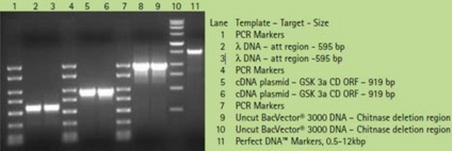 KOD Hot Start Master Mix ready-to-use solution, Ready-to-use 2X mixture, containing KOD Hot Start DNA Polymerase, two monoclonal antibodies, ultrapure deoxynucleotides, and reaction buffer with MgSO4, optimized for convenient high fidelity PCR., suitable for PCR