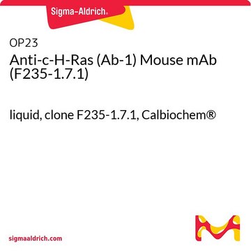 Anti-c-H-Ras (Ab-1) Mouse mAb (F235-1.7.1) liquid, clone F235-1.7.1, Calbiochem&#174;