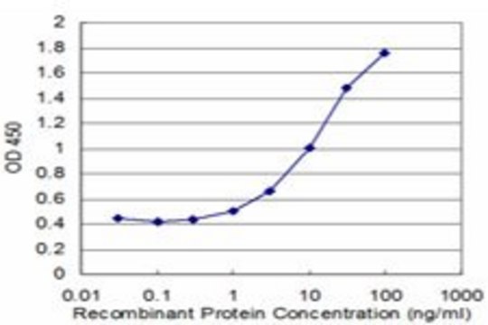 Monoclonal Anti-CTNNAL1 antibody produced in mouse clone 2C11, purified immunoglobulin, buffered aqueous solution