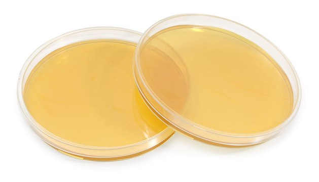 Tryptic Soy Agar TSA with Lecithin, Tween&#174;, Histidine and Sodium thiosulfate – 90mm ICR Settle plate, irradiated, triple packed, for environmental monitoring (Isolator and Clean room)