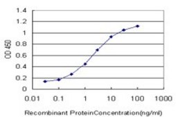 Monoclonal Anti-SCAND1 antibody produced in mouse clone 2F11, purified immunoglobulin, buffered aqueous solution