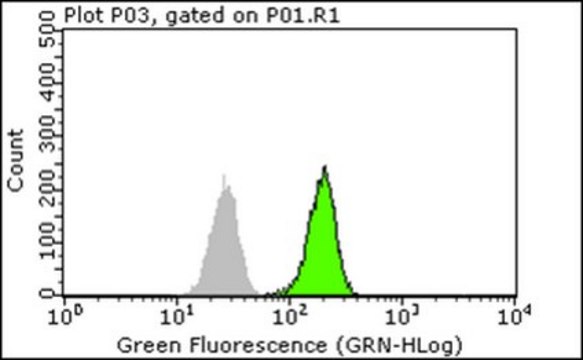 Anti-BMI1 Antibody, clone AF27 clone AF27, from mouse