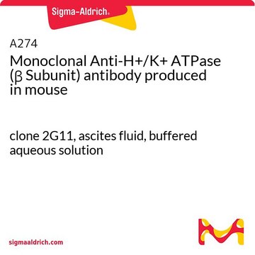 单克隆抗-H+/K+ ATPase（&#946;亚基） 小鼠抗 clone 2G11, ascites fluid, buffered aqueous solution