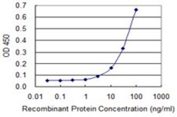 Monoclonal Anti-IFNAR1 antibody produced in mouse clone 1H2, purified immunoglobulin, buffered aqueous solution