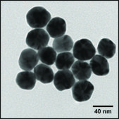 Silver nanospheres 40 nm avg. part. size, 1 mg/mL in water, BPEI functionalized