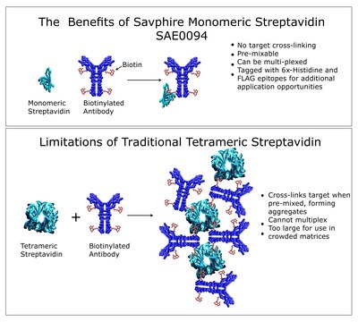 SAvPhire&#8482;单体链霉亲和素 recombinant, expressed in E. coli, High Affinity