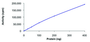 EPHA1 (569-end), active, GST tagged human PRECISIO® Kinase, recombinant, expressed in baculovirus infected Sf9 cells, ≥70% (SDS-PAGE), buffered aqueous glycerol solution