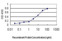 Monoclonal Anti-MAGEA8 antibody produced in mouse clone 3F7, purified immunoglobulin, buffered aqueous solution
