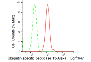 KD-Validated Anti Ubiquitin specific peptidase 13 Antibody, clone 23GB4250, Rabbit Monoclonal clone 23GB4250, recombinant rabbit monoclonal, expressed in HEK293 cells