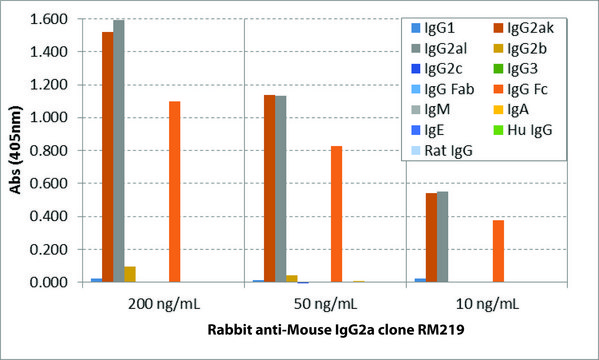 Anti-Mouse IgG2a-Biotin antibody, Rabbit monoclonal recombinant, expressed in HEK 293 cells, clone RM219, purified immunoglobulin